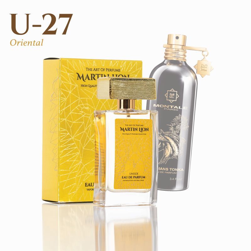 Martin_Lion_u27_Inspiracion_Montalr_Arabians_Tonka