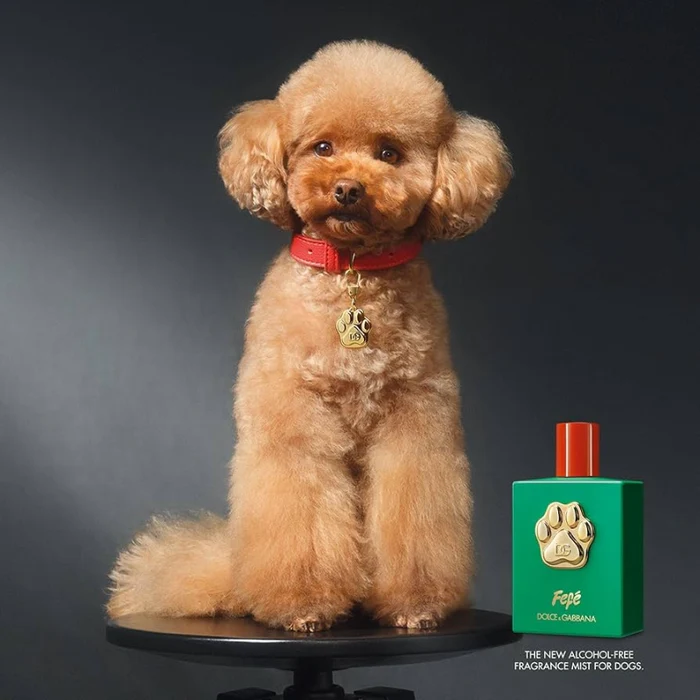 perfume-de-perros