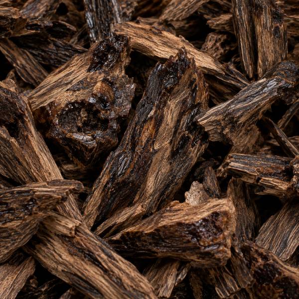 Perfumes Oud